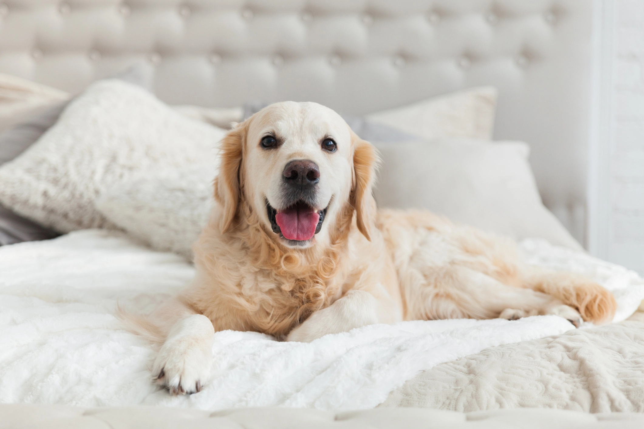 iStock-1059650764