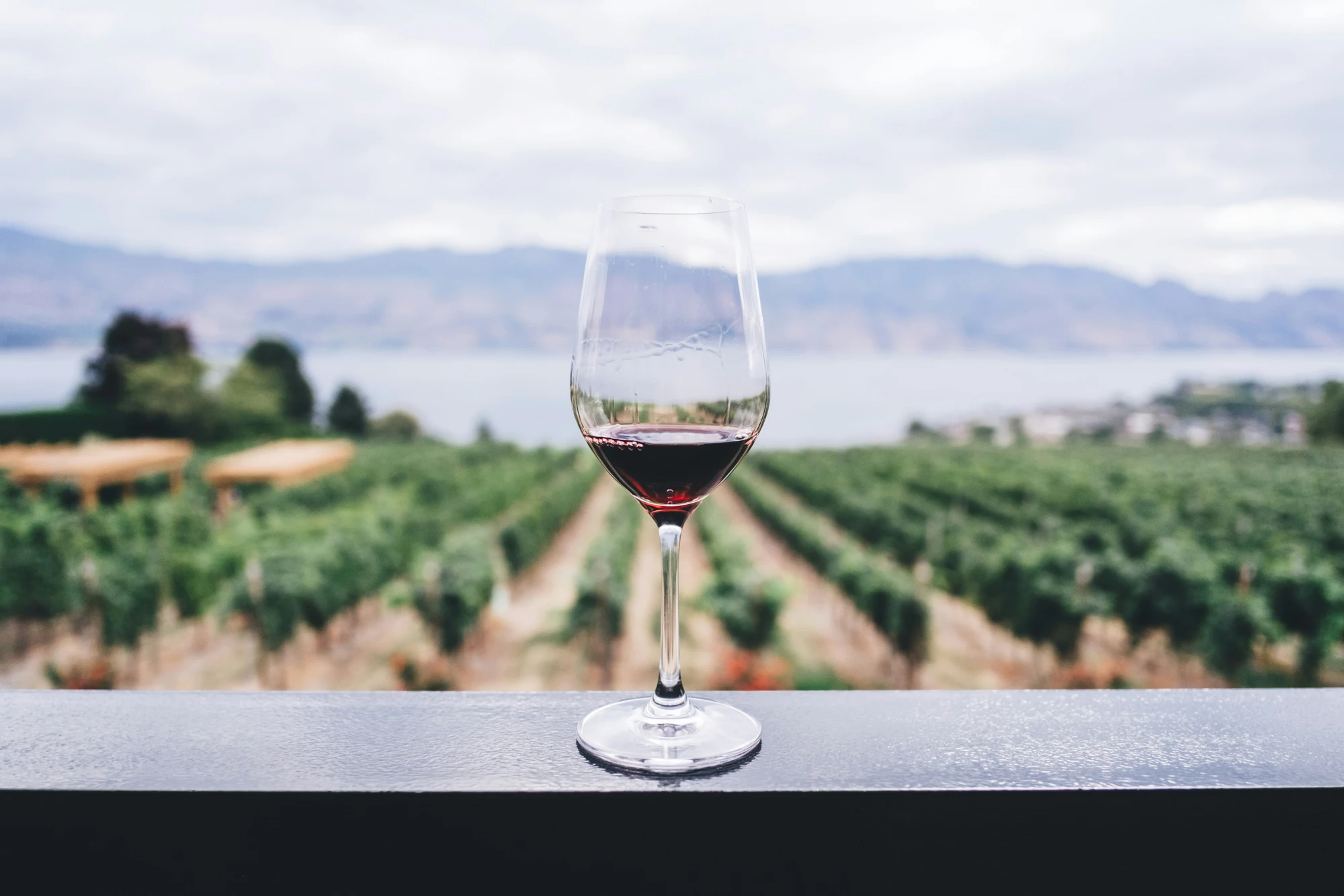 Wine Growers Dinner